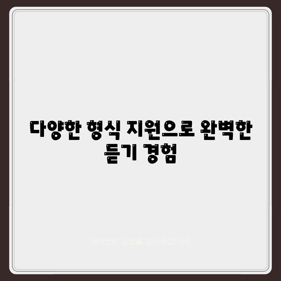 다양한 형식 지원으로 완벽한 듣기 경험