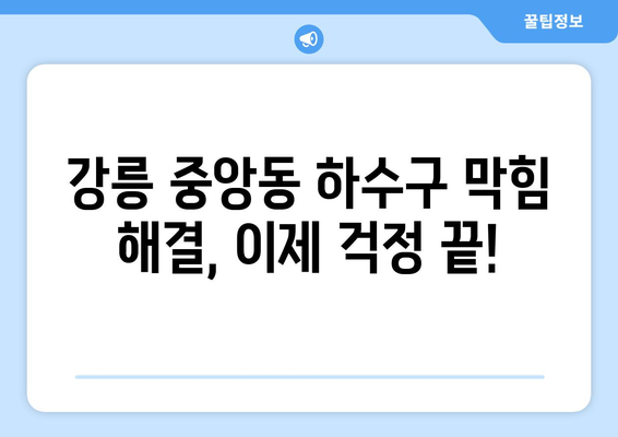 강원도 강릉시 중앙동 하수구막힘 | 가격 | 비용 | 기름제거 | 싱크대 | 변기 | 세면대 | 역류 | 냄새차단 | 2024 후기