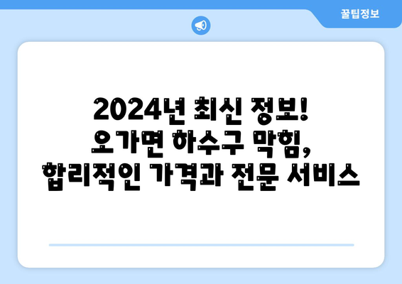 충청남도 예산군 오가면 하수구막힘 | 가격 | 비용 | 기름제거 | 싱크대 | 변기 | 세면대 | 역류 | 냄새차단 | 2024 후기