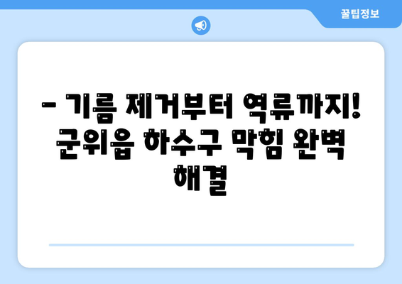 대구시 군위군 군위읍 하수구막힘 | 가격 | 비용 | 기름제거 | 싱크대 | 변기 | 세면대 | 역류 | 냄새차단 | 2024 후기