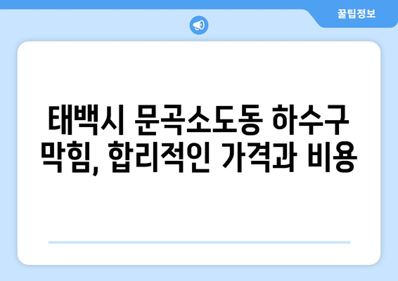 강원도 태백시 문곡소도동 하수구막힘 | 가격 | 비용 | 기름제거 | 싱크대 | 변기 | 세면대 | 역류 | 냄새차단 | 2024 후기