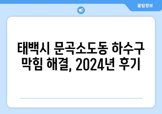 강원도 태백시 문곡소도동 하수구막힘 | 가격 | 비용 | 기름제거 | 싱크대 | 변기 | 세면대 | 역류 | 냄새차단 | 2024 후기