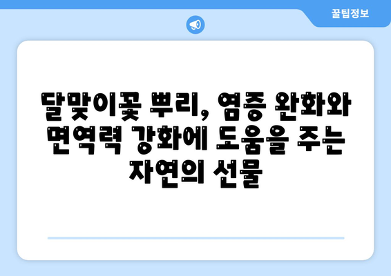 달맞이꽃 뿌리효능