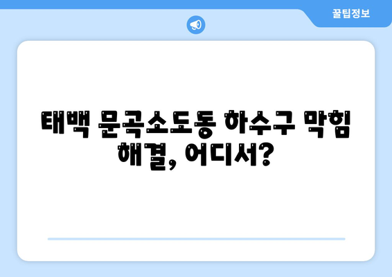 강원도 태백시 문곡소도동 하수구막힘 | 가격 | 비용 | 기름제거 | 싱크대 | 변기 | 세면대 | 역류 | 냄새차단 | 2024 후기