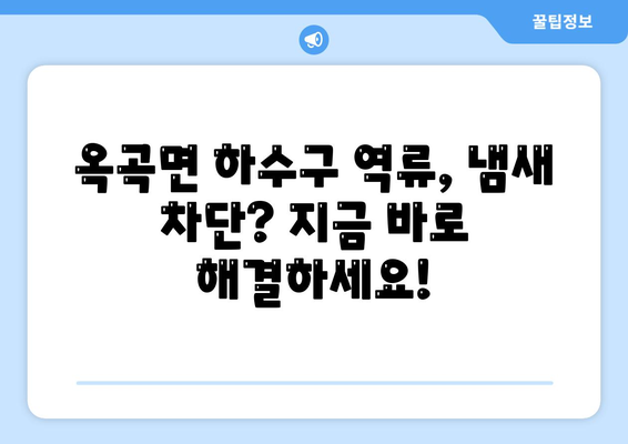 전라남도 광양시 옥곡면 하수구막힘 | 가격 | 비용 | 기름제거 | 싱크대 | 변기 | 세면대 | 역류 | 냄새차단 | 2024 후기