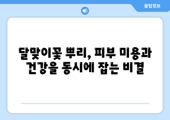 달맞이꽃 뿌리효능