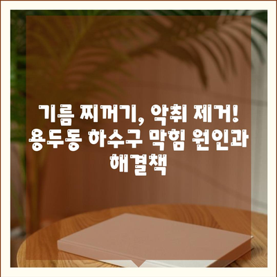 대전시 중구 용두동 하수구막힘 | 가격 | 비용 | 기름제거 | 싱크대 | 변기 | 세면대 | 역류 | 냄새차단 | 2024 후기