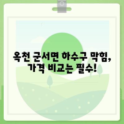 충청북도 옥천군 군서면 하수구막힘 | 가격 | 비용 | 기름제거 | 싱크대 | 변기 | 세면대 | 역류 | 냄새차단 | 2024 후기