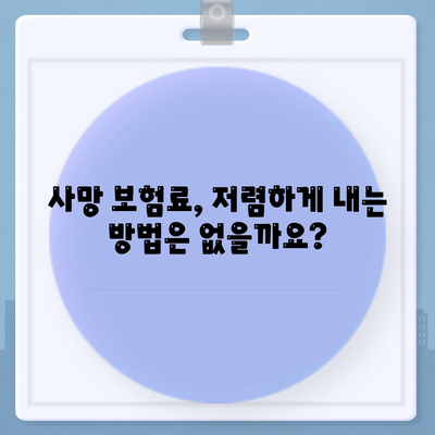 사망 보험 설계