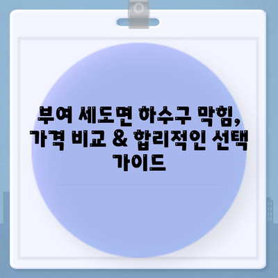 충청남도 부여군 세도면 하수구막힘 | 가격 | 비용 | 기름제거 | 싱크대 | 변기 | 세면대 | 역류 | 냄새차단 | 2024 후기