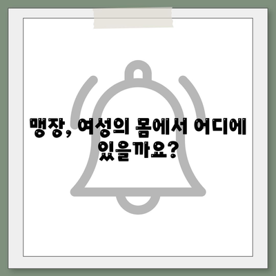 여자 맹장 위치