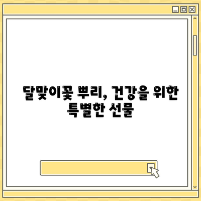 달맞이꽃 뿌리효능