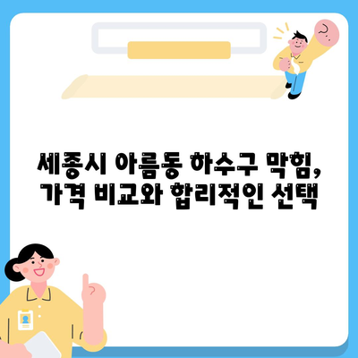 세종시 세종특별자치시 아름동 하수구막힘 | 가격 | 비용 | 기름제거 | 싱크대 | 변기 | 세면대 | 역류 | 냄새차단 | 2024 후기