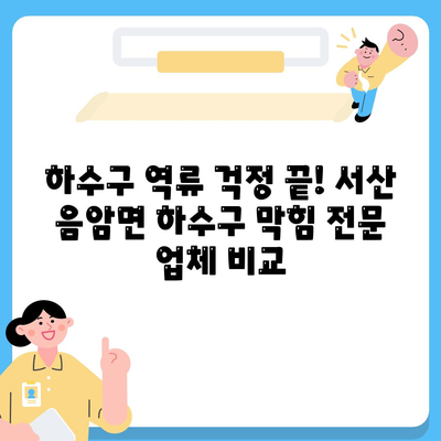 충청남도 서산시 음암면 하수구막힘 | 가격 | 비용 | 기름제거 | 싱크대 | 변기 | 세면대 | 역류 | 냄새차단 | 2024 후기