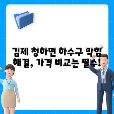 전라북도 김제시 청하면 하수구막힘 | 가격 | 비용 | 기름제거 | 싱크대 | 변기 | 세면대 | 역류 | 냄새차단 | 2024 후기