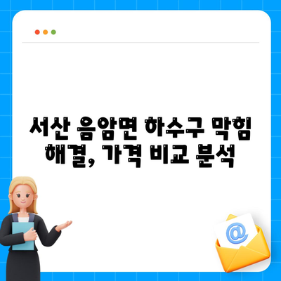 충청남도 서산시 음암면 하수구막힘 | 가격 | 비용 | 기름제거 | 싱크대 | 변기 | 세면대 | 역류 | 냄새차단 | 2024 후기