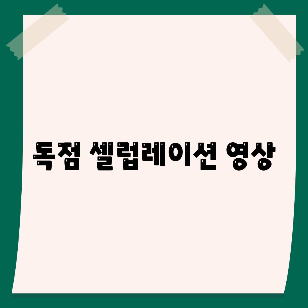 독점 셀럽레이션 영상