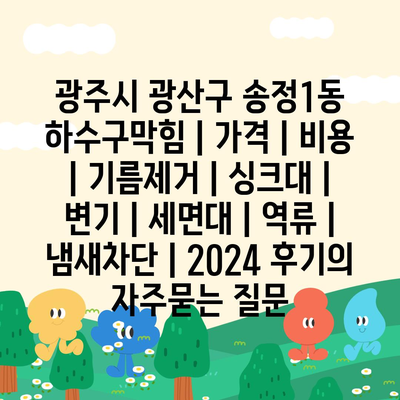 광주시 광산구 송정1동 하수구막힘 | 가격 | 비용 | 기름제거 | 싱크대 | 변기 | 세면대 | 역류 | 냄새차단 | 2024 후기