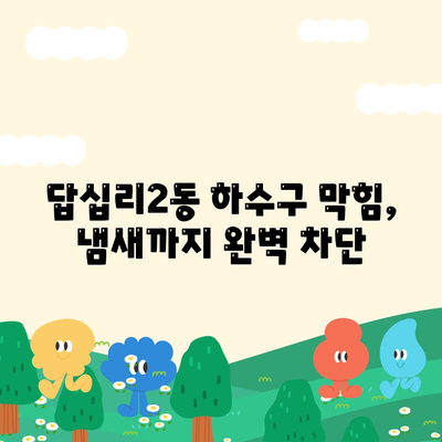 서울시 동대문구 답십리제2동 하수구막힘 | 가격 | 비용 | 기름제거 | 싱크대 | 변기 | 세면대 | 역류 | 냄새차단 | 2024 후기