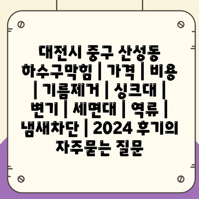 대전시 중구 산성동 하수구막힘 | 가격 | 비용 | 기름제거 | 싱크대 | 변기 | 세면대 | 역류 | 냄새차단 | 2024 후기