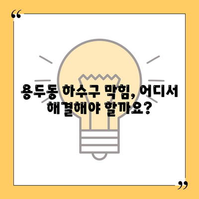 대전시 중구 용두동 하수구막힘 | 가격 | 비용 | 기름제거 | 싱크대 | 변기 | 세면대 | 역류 | 냄새차단 | 2024 후기