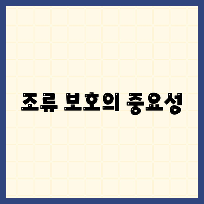 조류 보호의 중요성