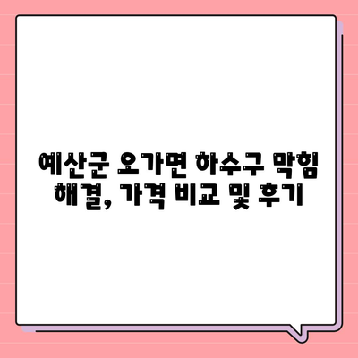 충청남도 예산군 오가면 하수구막힘 | 가격 | 비용 | 기름제거 | 싱크대 | 변기 | 세면대 | 역류 | 냄새차단 | 2024 후기