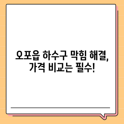 경기도 광주시 오포읍 하수구막힘 | 가격 | 비용 | 기름제거 | 싱크대 | 변기 | 세면대 | 역류 | 냄새차단 | 2024 후기