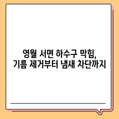 강원도 영월군 서면 하수구막힘 | 가격 | 비용 | 기름제거 | 싱크대 | 변기 | 세면대 | 역류 | 냄새차단 | 2024 후기