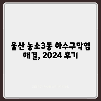 울산시 북구 농소3동 하수구막힘 | 가격 | 비용 | 기름제거 | 싱크대 | 변기 | 세면대 | 역류 | 냄새차단 | 2024 후기