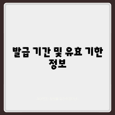 발급 기간 및 유효 기한 정보