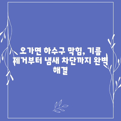 충청남도 예산군 오가면 하수구막힘 | 가격 | 비용 | 기름제거 | 싱크대 | 변기 | 세면대 | 역류 | 냄새차단 | 2024 후기