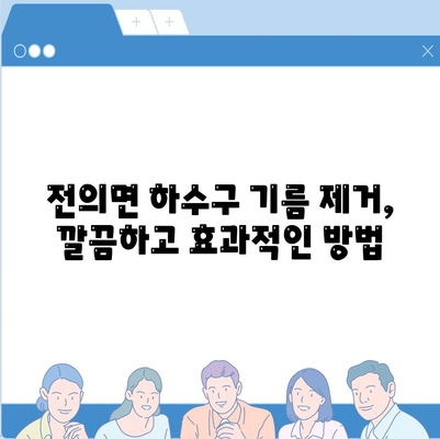 세종시 세종특별자치시 전의면 하수구막힘 | 가격 | 비용 | 기름제거 | 싱크대 | 변기 | 세면대 | 역류 | 냄새차단 | 2024 후기