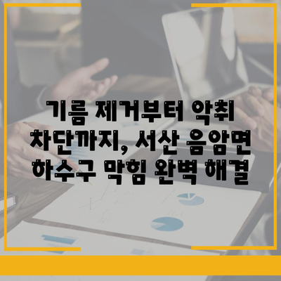 충청남도 서산시 음암면 하수구막힘 | 가격 | 비용 | 기름제거 | 싱크대 | 변기 | 세면대 | 역류 | 냄새차단 | 2024 후기