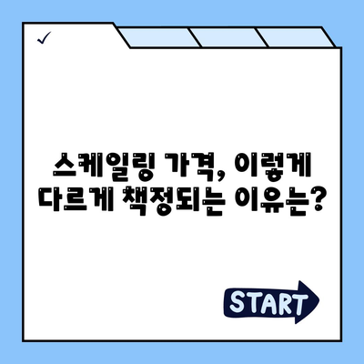 스케일링 가격