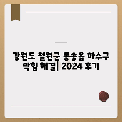 강원도 철원군 동송읍 하수구막힘 | 가격 | 비용 | 기름제거 | 싱크대 | 변기 | 세면대 | 역류 | 냄새차단 | 2024 후기