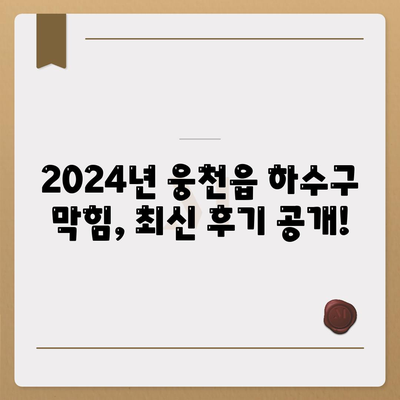 충청남도 보령시 웅천읍 하수구막힘 | 가격 | 비용 | 기름제거 | 싱크대 | 변기 | 세면대 | 역류 | 냄새차단 | 2024 후기