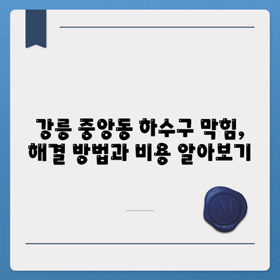 강원도 강릉시 중앙동 하수구막힘 | 가격 | 비용 | 기름제거 | 싱크대 | 변기 | 세면대 | 역류 | 냄새차단 | 2024 후기