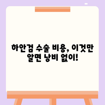 하안검수술 비용