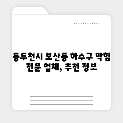 경기도 동두천시 보산동 하수구막힘 | 가격 | 비용 | 기름제거 | 싱크대 | 변기 | 세면대 | 역류 | 냄새차단 | 2024 후기