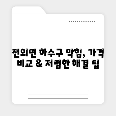 세종시 세종특별자치시 전의면 하수구막힘 | 가격 | 비용 | 기름제거 | 싱크대 | 변기 | 세면대 | 역류 | 냄새차단 | 2024 후기