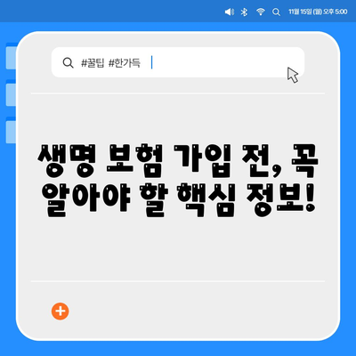 생명 보험 추천