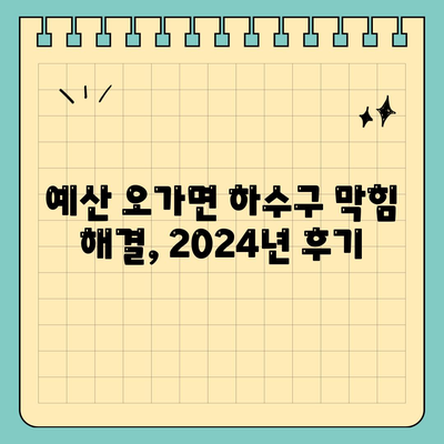 충청남도 예산군 오가면 하수구막힘 | 가격 | 비용 | 기름제거 | 싱크대 | 변기 | 세면대 | 역류 | 냄새차단 | 2024 후기