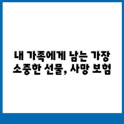 사망 보험 설계