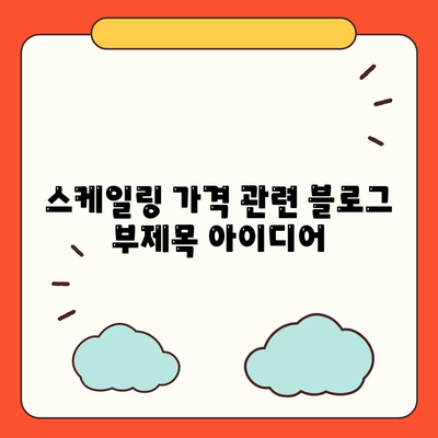 스케일링 가격