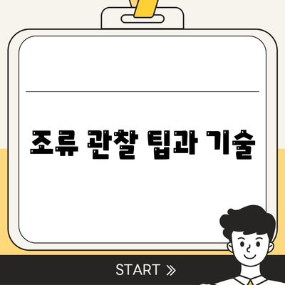 조류 관찰 팁과 기술