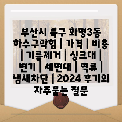 부산시 북구 화명3동 하수구막힘 | 가격 | 비용 | 기름제거 | 싱크대 | 변기 | 세면대 | 역류 | 냄새차단 | 2024 후기