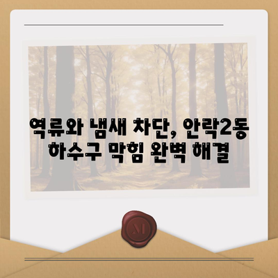 부산시 동래구 안락2동 하수구막힘 | 가격 | 비용 | 기름제거 | 싱크대 | 변기 | 세면대 | 역류 | 냄새차단 | 2024 후기