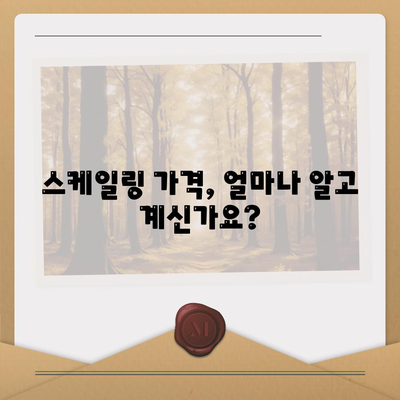 스케일링 가격