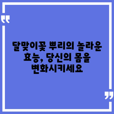 달맞이꽃 뿌리효능